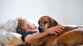 Домашні улюбленці можуть бути винуватцями поганого сну людини: в чому це проявляється