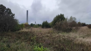 У Раві-Руській підприємець деревообробної галузі придбав землю за 710 тис. грн