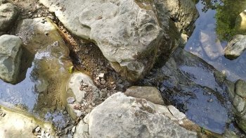 Мінус одна туристична локація: на Львівщині висох популярний водоспад (фото)