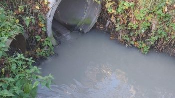 На Львівщині підприємство-забруднювач змушують компенсувати завдані збитки