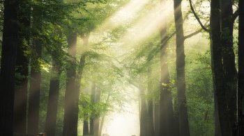 Мінлива хмарність та нічні заморозки: якою буде погода на Львівщині 3 червня