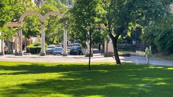 У Львові продовжують осінню обробку від кліщів: список місць