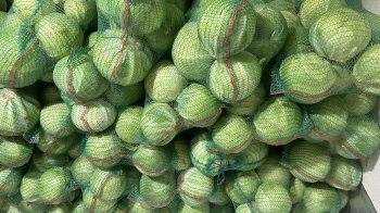 Суд конфіскував понад тонну свіжої капусти львівської фірми