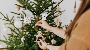 Як вибрати живу ялинку: на що варто звернути увагу та як доглядати дерево