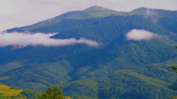 Львівські гори