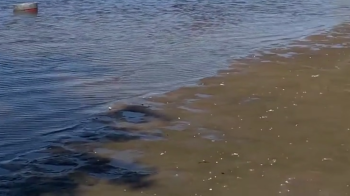 Наслідки підриву ГЕС: на Запоріжжі у Дніпрі помітно знизився рівень води