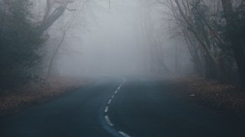 На Львівщині прогнозують сильний туман: водіїв попереджають про небезпеку