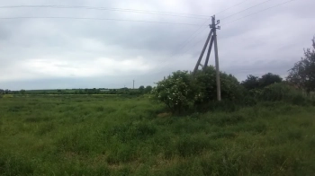 Землю під торгові будівлі у Львівському районі продали за 4,6 млн грн місцевій фірмі