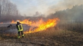 5 навмисних підпалів сухостою ліквідували надзвичайники Львівщини цієї доби
