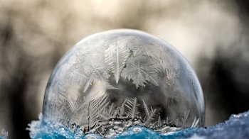 Ожеледиця та мокрий сніг: якою буде погода на Львівщині 20 лютого