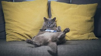 як розпланувати вихідний день, щоб не пролежати ні ліжку