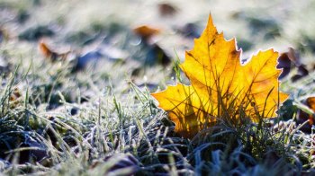 21 жовтня на Львівщині синоптики прогнозують заморозки