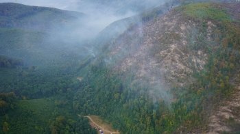 На Закарпатті рятувальники ліквідували масштабну лісову пожежу