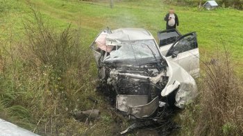 Депутата з Вінниччини засудили через смертельну аварію на Львівщині