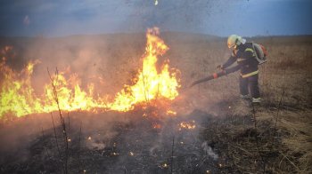 На Львівщині палії сухостою знищили 8 гектарів ґрунту