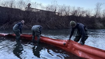 На поверхні річки в Дрогобичі виявили пляму невідомого походження
