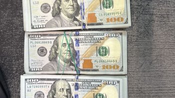 У мешканки Львівщини знайшли на кордоні майже 1,6 млн грн у валюті