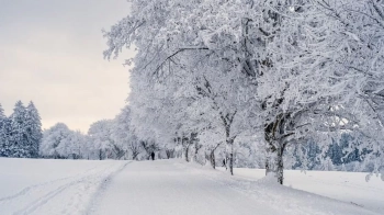 159 населених пунктів Львівщини залишились без світла через снігопад