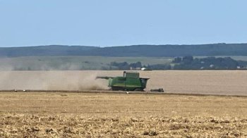 На Львівщині викрили керівника держпідприємства на продажу 6,6 тис. тонн зерна за заниженою ціною