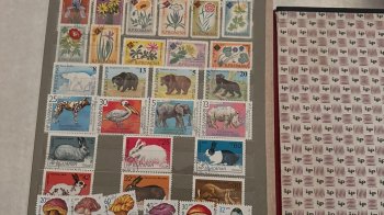 На кордоні виявили колекцію поштових марок в 44-річного львів'янина