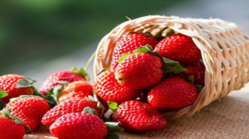 Що можна зробити з полуниці?