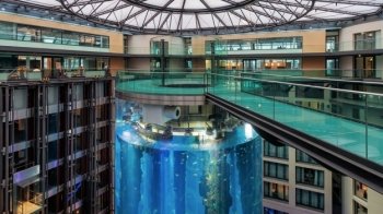 У Берліні лопнув величезний акваріум, у якому було 1500 тропічних риб