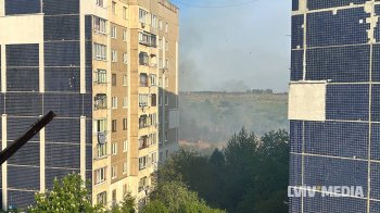 У Сихові невідомі спалили траву. Фото: LVIV.MEDIA