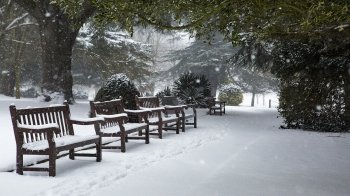 Новини, з якими варто почати цей день