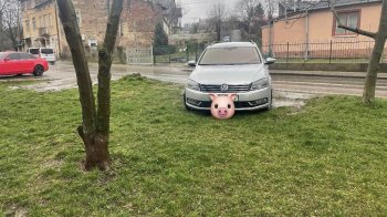 Зробити парковку чи лишити зелену зону: недобросовісний водій спровокував сварку між львів’янами