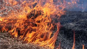 На Львівщині під час гасіння сухостою знайшли тіло чоловіка