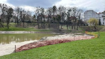 У Садового пообіцяли забрати мул з «Піскових озер»: коли це станеться