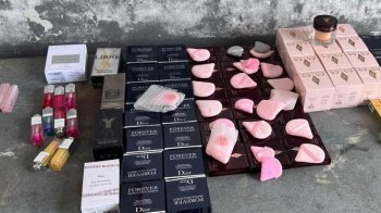 У Шегинях прикордонники виявили контрабанду косметики та обладнання для салонів краси