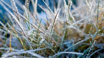 У Львові 12 квітня зафіксували температурний рекорд