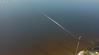 На Львівщині спіймали 8 рибалок-порушників: деталі