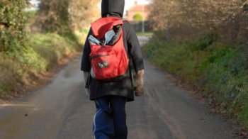 Про загублених дітей користувачам сповіщатиме Facebook