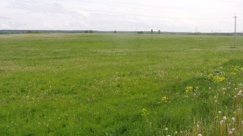 На Львівщині вдалось повернути державі земельні ділянки вартістю майже 3,5 млрд.грн