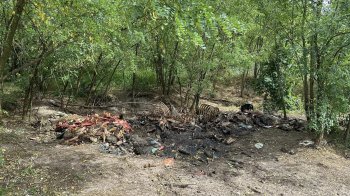 Мешканця Львівщини впіймали на викиданні решток тварин у лісі