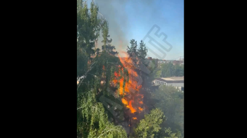 Пожежа у Львові на вулиці Заводській: горять дерева поблизу заводу