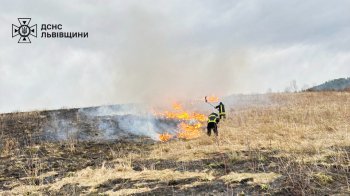 Наслідки займання сухої трави. Фото: ДСНС
