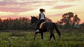 Люди могли почати їздити верхи ще 5 тисяч років тому: сенсаційне відкриття вчених