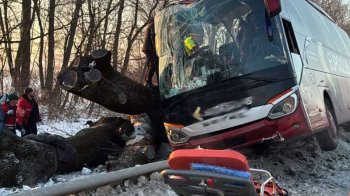 Автобус вилетів з дороги біля Любінців на Стрийщині: 7 людей у лікарні