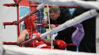 Присвячений загиблим боксерам: у Львові відбувся фінал чемпіонату України з боксу серед молоді