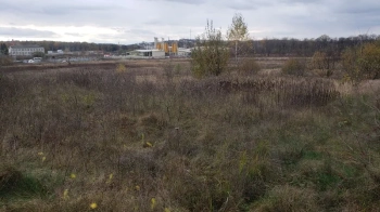 Миколаївська міськрада продала ділянку під промисловість за 3,3 млн грн