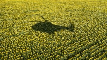 Українські регіони поділять на чотири типи — Кабмін