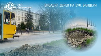 У Львові висадять понад пів сотні дерев (фото)