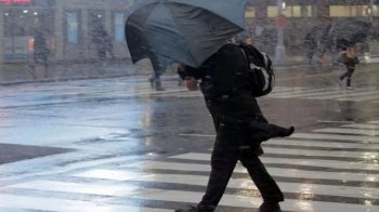 На Львівщині синоптики прогнозують сильний вітер та дощ