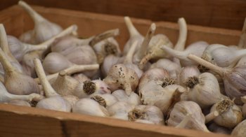 Не кладіть овочі в один ящик: як правильно зберегти запаси на зиму