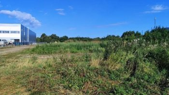 У Львівській громаді на аукціоні продали земельні ділянки за 41,5 млн грн