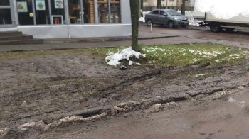 Глибокі колії в болоті: львів’яни скаржаться на занедбаний «газон» на вулиці Володимира Великого