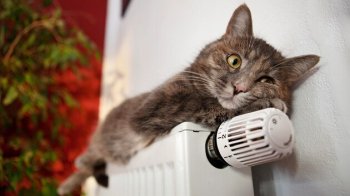 Фото: infoindustria.com.ua